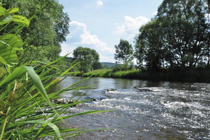 3 jours Hôtel La Grande Cure ***